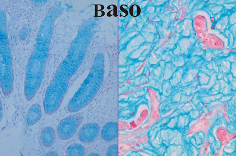 ��(��i)���{(l��n)��PH2.5��ȾɫҺ