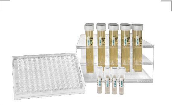 �ǽY�ˣ��Y�˷�֦�U��ˎ��MIC���w��Q����